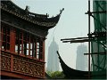 Shanghai (203)